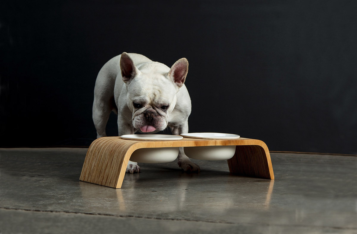 Яким сухим кормом годувати собаку