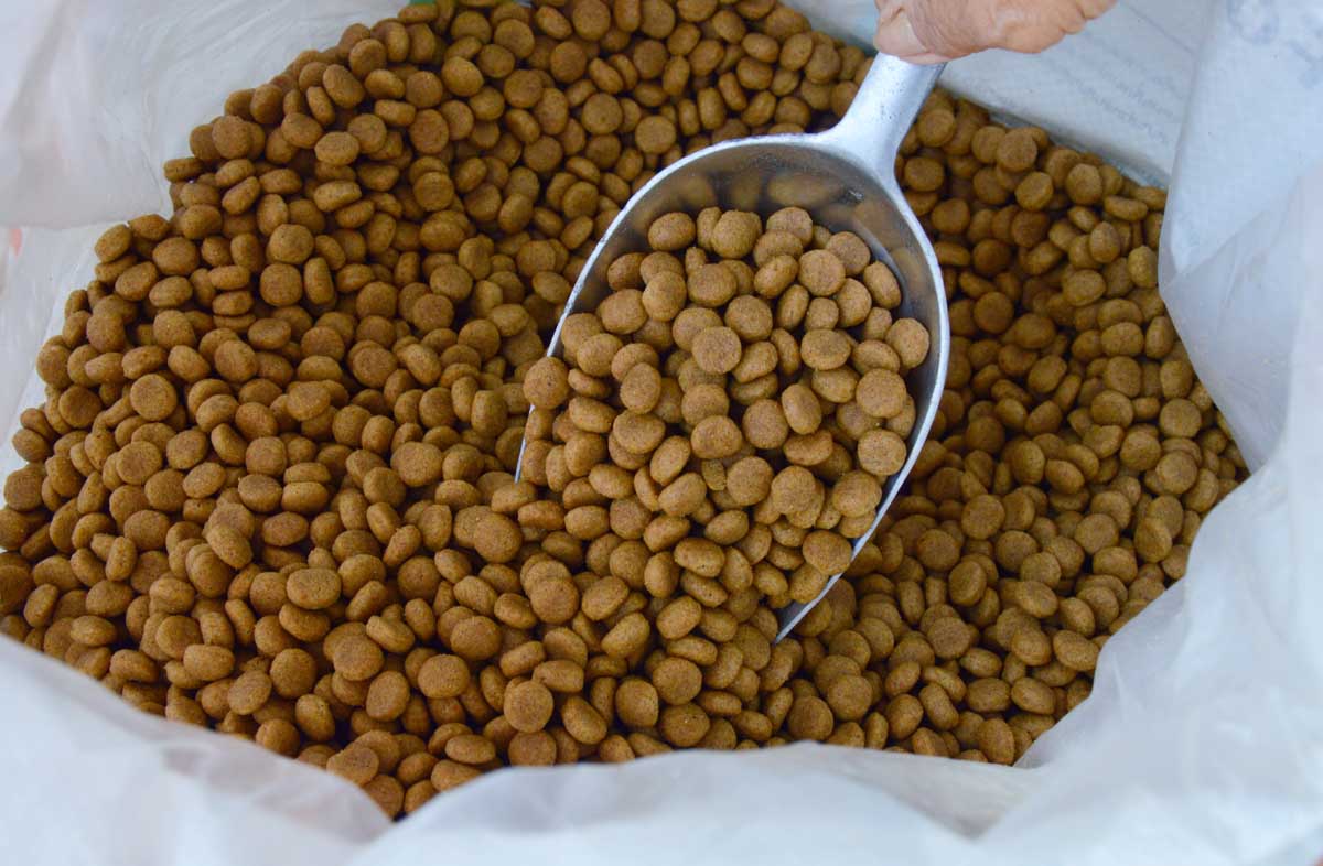 Зберігання сухого корму