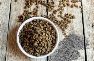 Зола в сухому кормі: друг чи ворог?