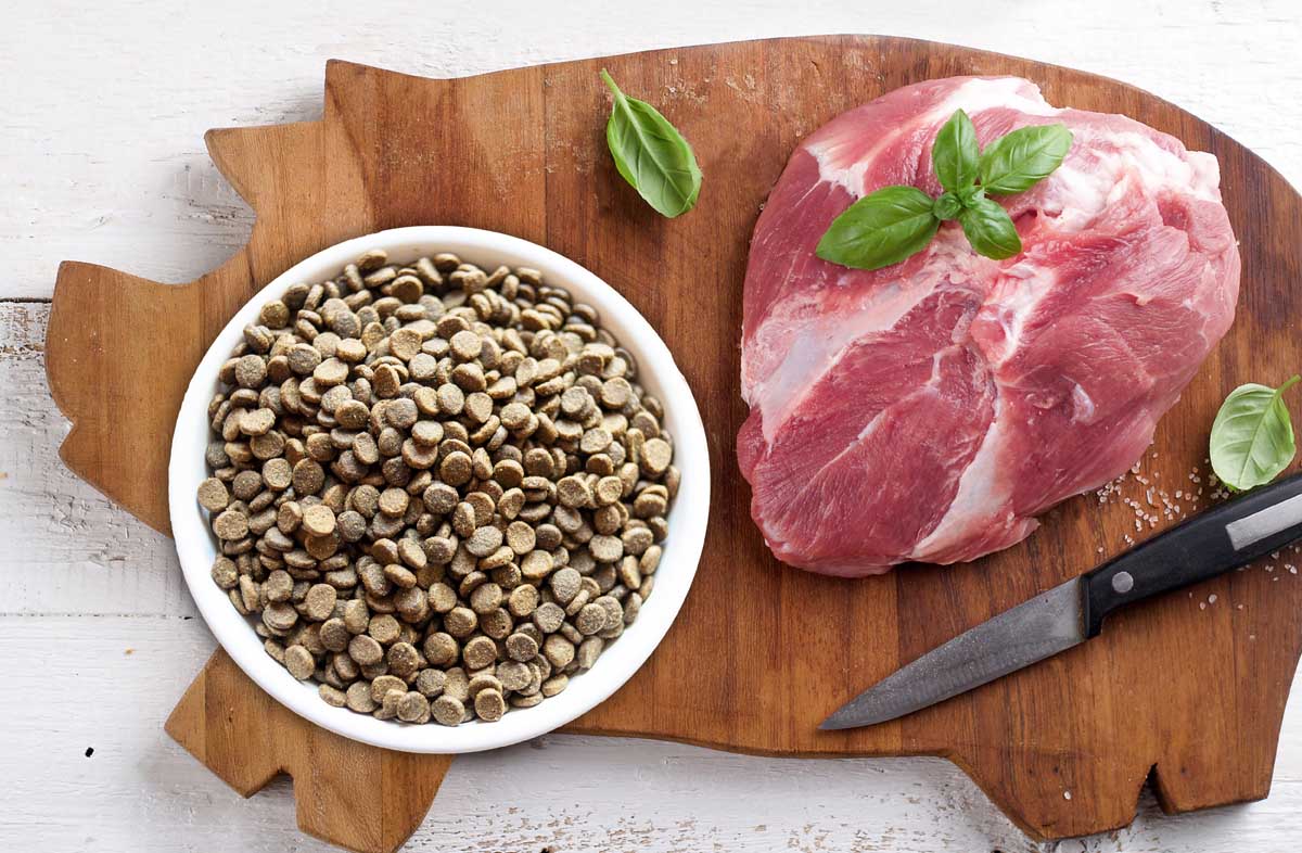 Міфи про свинину в раціоні собаки