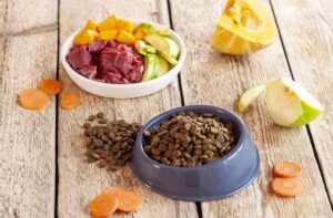Натуралка або сухий корм: що краще для собак?