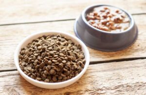 Сухий і вологий корм одночасно.