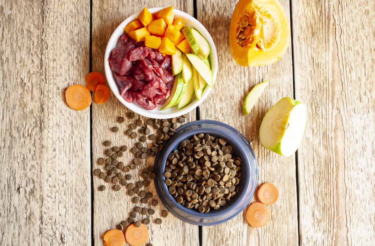 Сухий корм або натуральне харчування — що краще