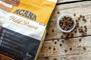 Термін придатності сухого корму для кішок.