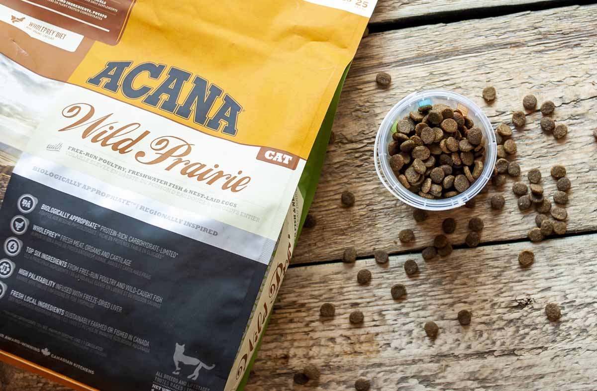 Термін придатності сухого корму для кішок