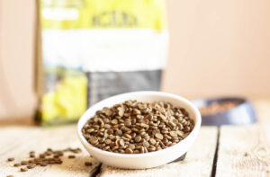 У яких кормах міститься білок?