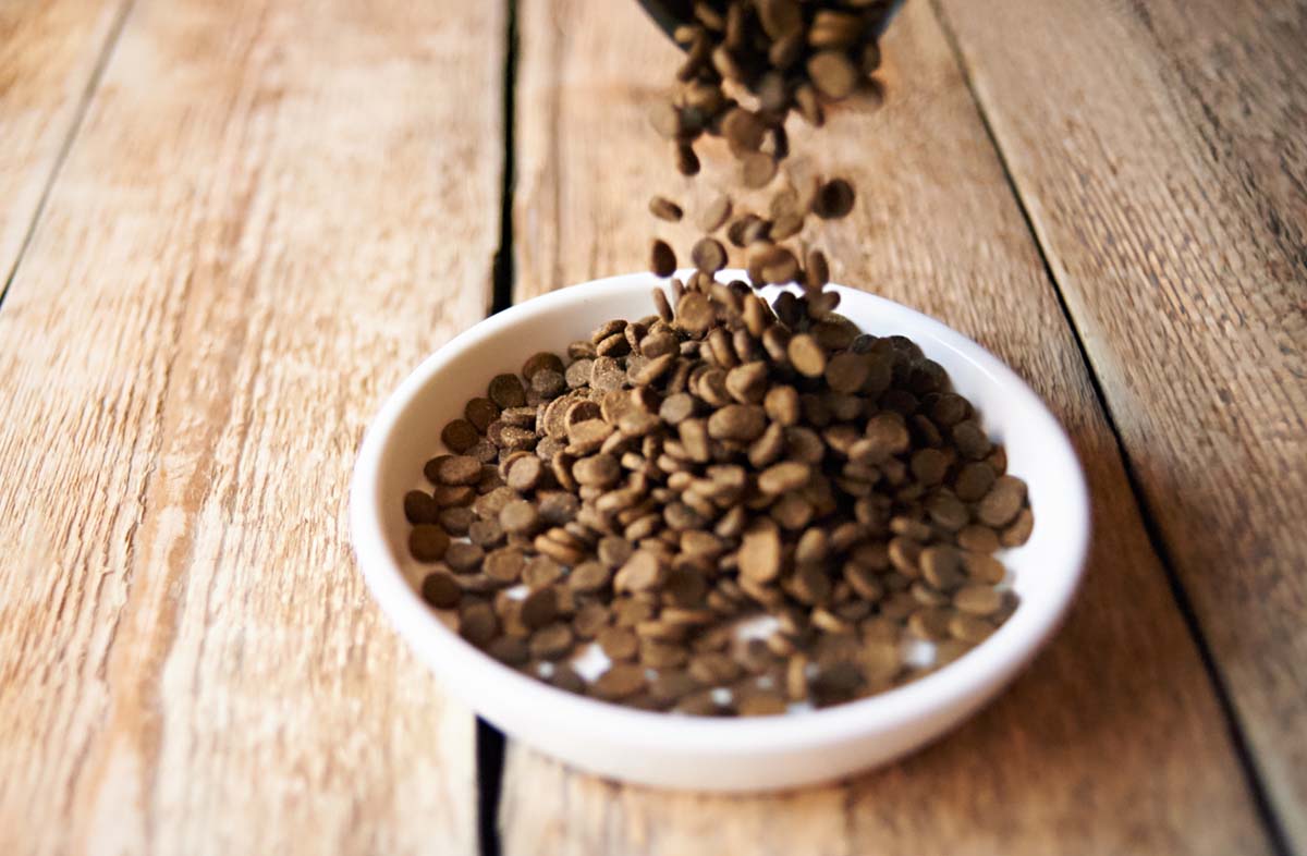 Вміст білка в кормах для собак і кішок