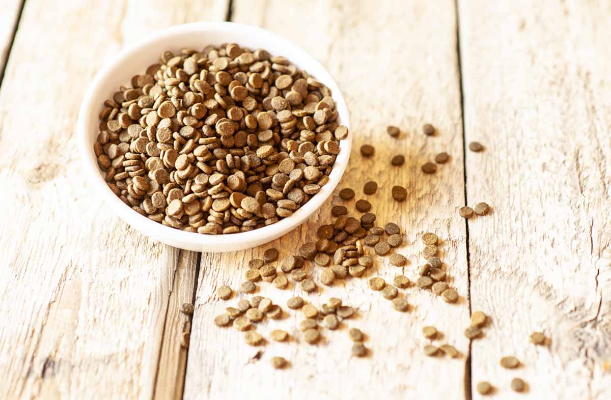 Вміст білка в сухому кормі для собак