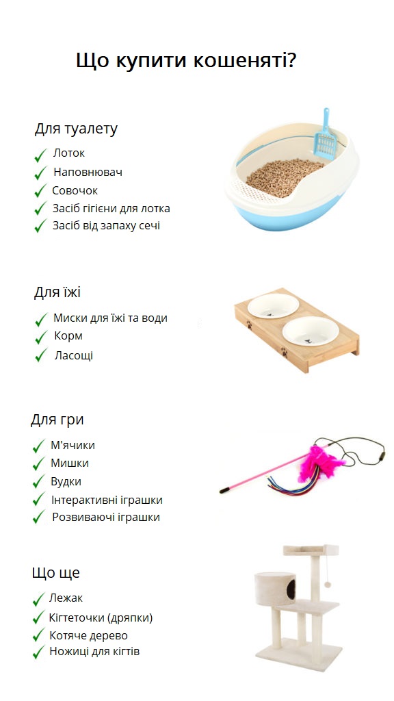 Що потрібно для догляду за кошеням