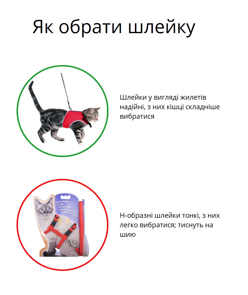 Як обрати шлейку для кота