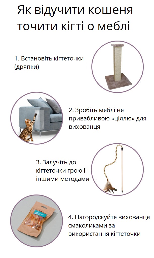 Відучує кошеня точити кігті о меблі