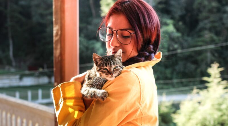 Як виховувати кошеняти