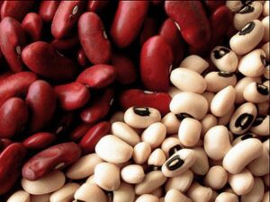 Чи можна давати собакам квасолю?