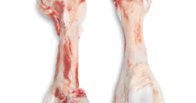 Чи можна давати собакам свинячі кістки