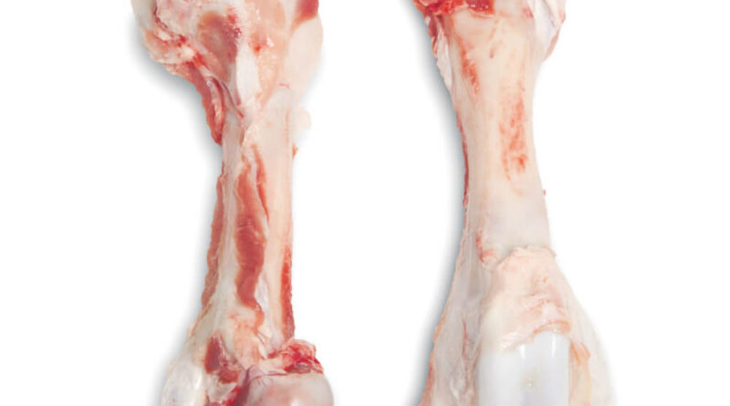 Чи можна давати собакам свинячі кістки