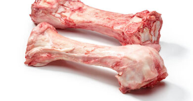 Чи можна давати собаці яловичі кістки