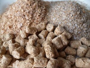 Чи можна давати собакам висівки?