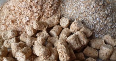 Чи можна давати собакам висівки