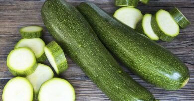 Чи можна давати собаці кабачки