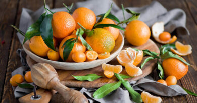 Чи можна давати собаці мандарини