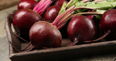 Чи можна собакам давати буряки