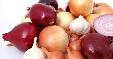 Чи можна собакам давати цибулю