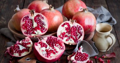 Чи можна собаці давати гранат