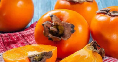 Чи можна собаці давати хурму