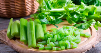 Чи можна собаці давати селеру