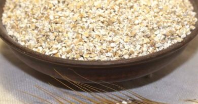 Чи можна собаці давати ячну кашу