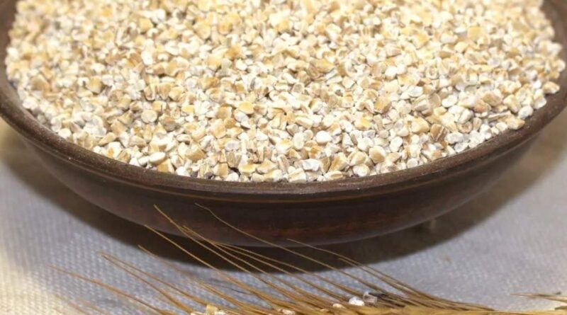 Чи можна собаці давати ячну кашу