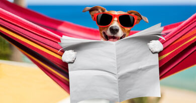 Чи можна з собакою прийти на пляж