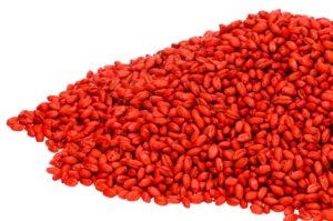 Що робити, якщо собака з’їла пацюкову отруту?