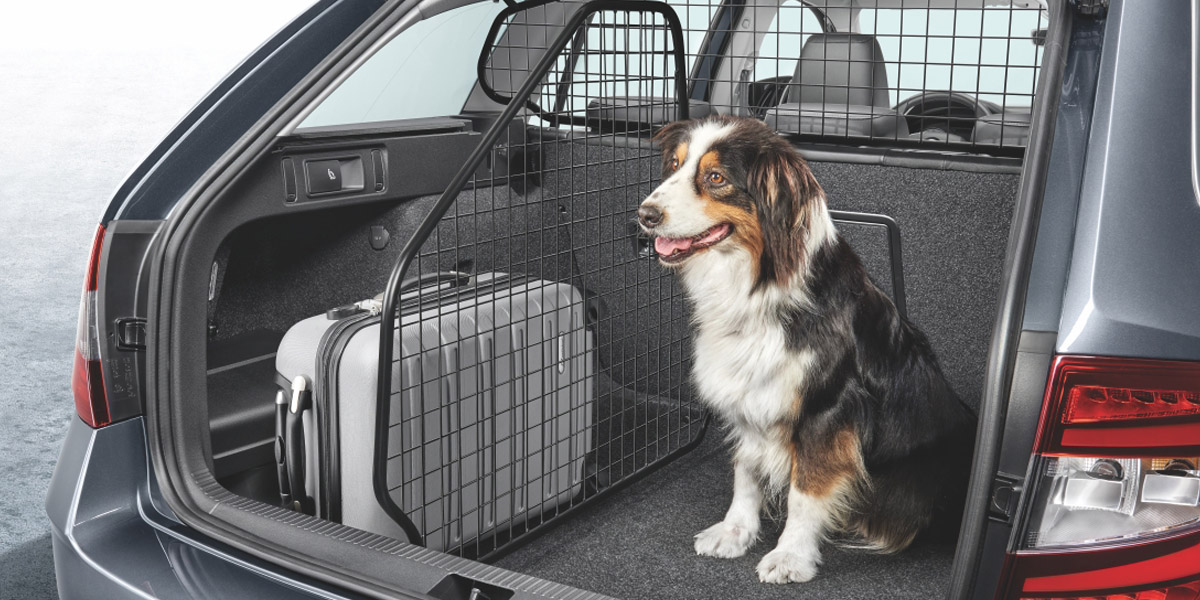 Безпечний відсік для собаки в автомобілі