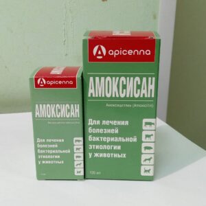 Амоксисан для собак — захист від бактерій.