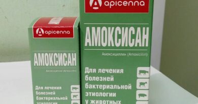 Амоксисан для собак — захист від бактерій
