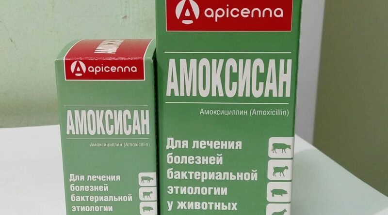 Амоксисан для собак — захист від бактерій