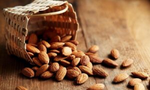 Чи можна давати собакам мигдаль і в якому вигляді?