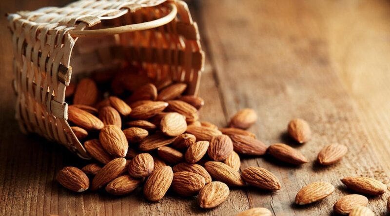 Чи можна давати собакам мигдаль і в якому вигляді