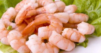 Czy koty mogą krewetki?