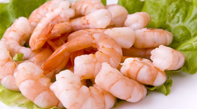 Чи можна кішкам креветки