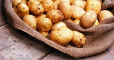 Чи можна кішці давати картоплю