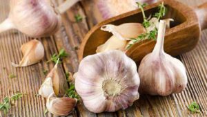 Чи можна собаці давати часник?