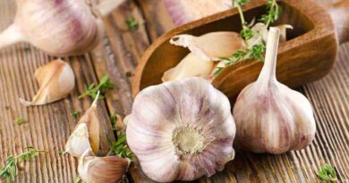 Чи можна собаці давати часник