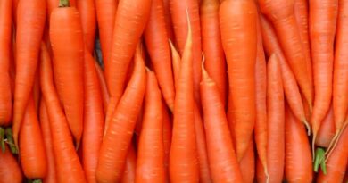 Чи можна собаці давати моркву