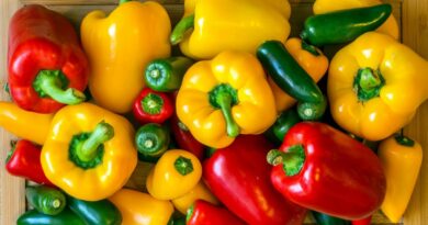 Чи можна собаці давати перець