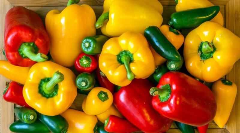 Чи можна собаці давати перець