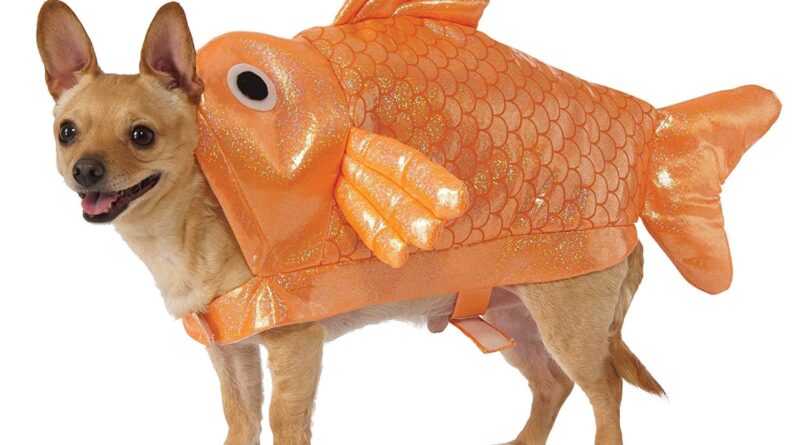 Чи можна собаці рибу