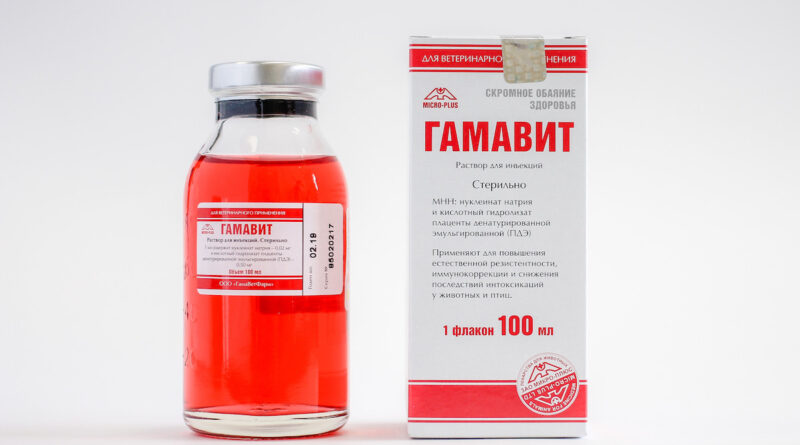 Гамавіт для кішок — імунітет у нормі