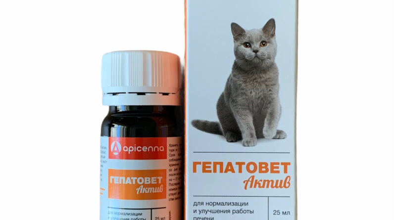 Гепатовет для кішок лікує печінку